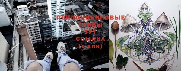 марки lsd Осинники