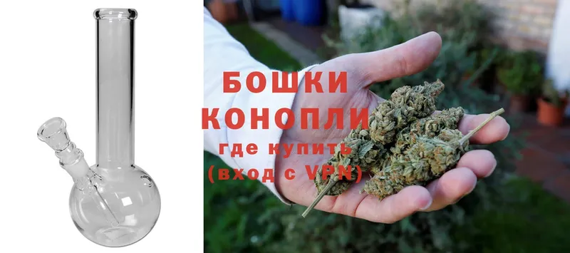 Шишки марихуана Bruce Banner  Правдинск 